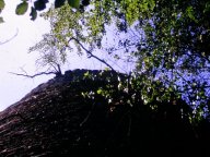 Am Turm hoch nach oben fotografiert